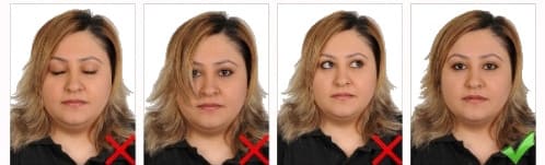 Biyometrik Fotoğraf Örneği